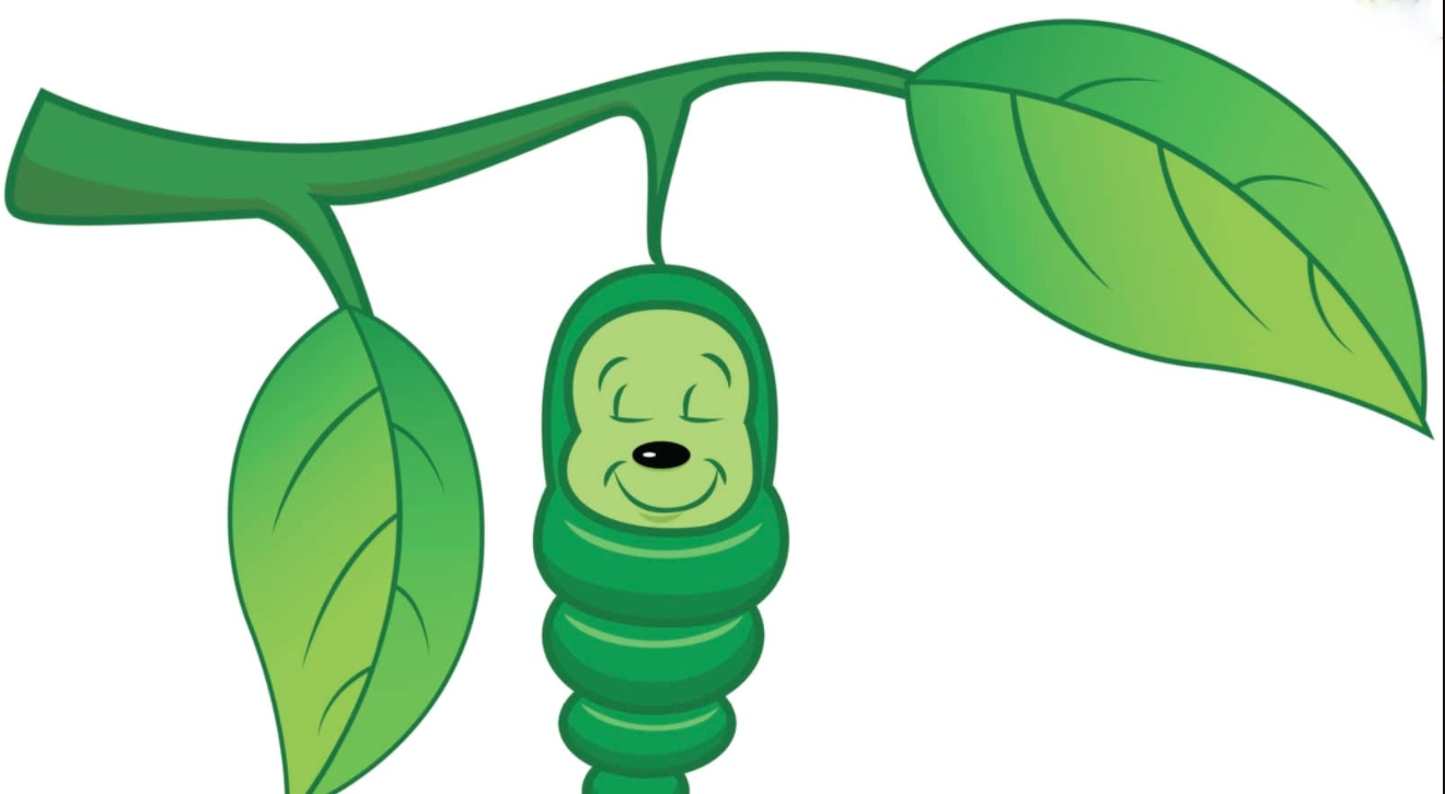 Coucou – Kindertheater – Premiere sollte am 09.05.2021 stattfinden Coucou – Kindertheater – Premiere sollte am 09.05.2021 stattfinden